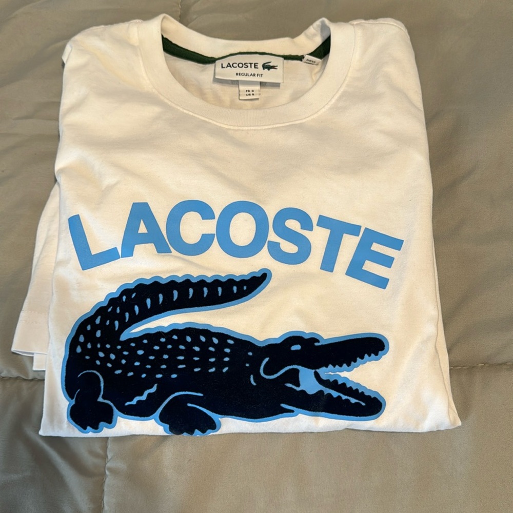 Big croc!